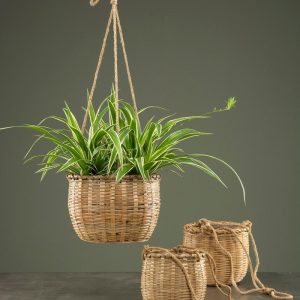 Ampel, bambu, plastfodrad, liten, 16cm