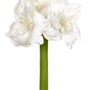Amaryllis, vit, konstgjord blomma