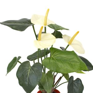Anthurium, flamingo, creme, konstgjord, 40 cm