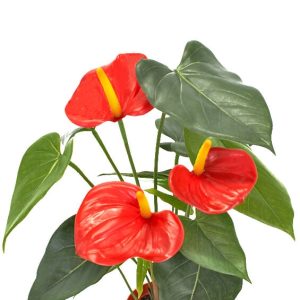 Anthurium, flamingo, röd, konstgjord, 40 cm